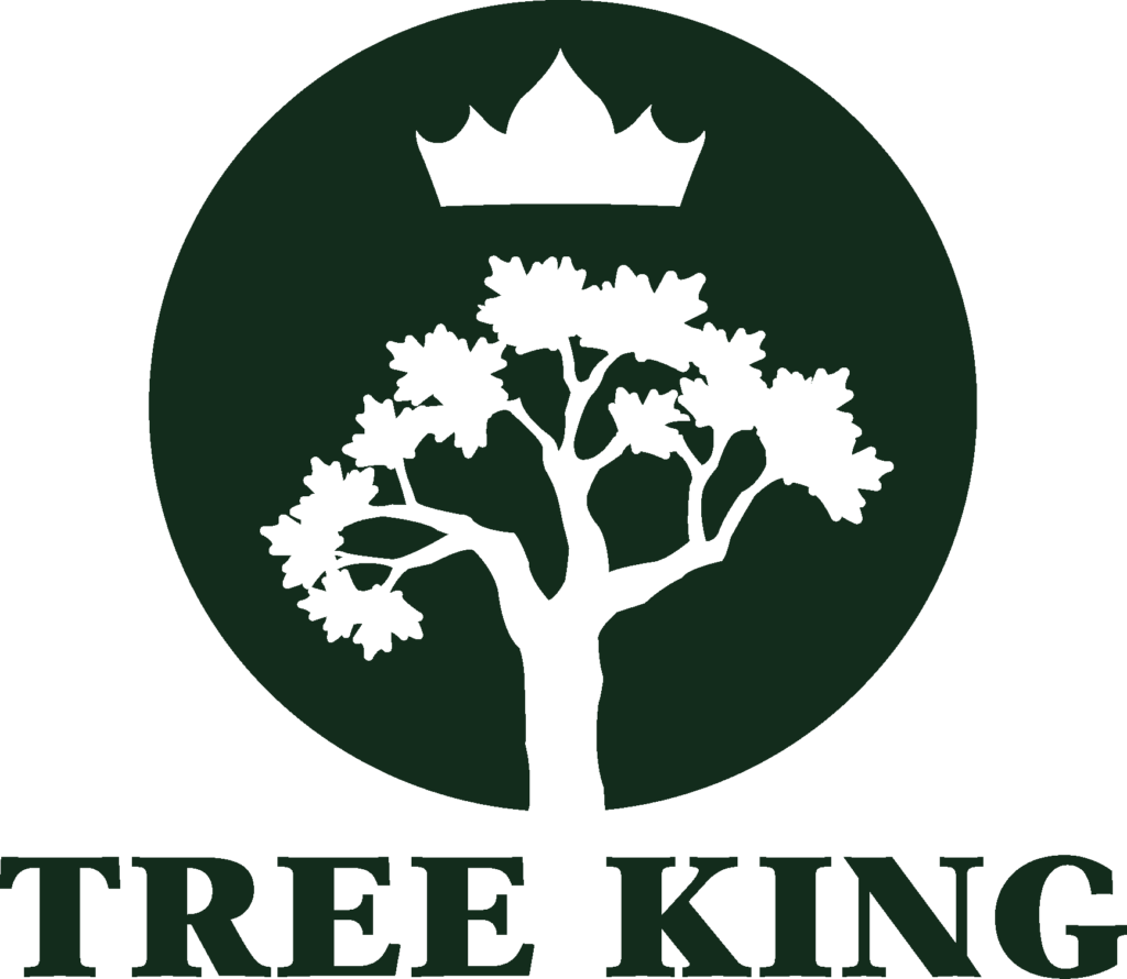 Burnish Point Tree King Logo